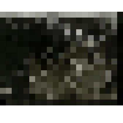 Фотография. Митинг жителей села Коломенского посвященный XIV годовщине Октября