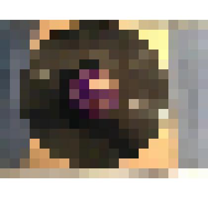 Грампластинка. Речь тов. И.В. Сталина на предвыборном собрании избирателей. В - 5, 6