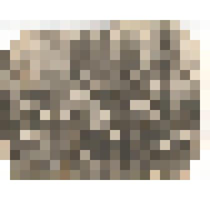 Фотография групповая