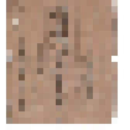 Временное удостоверение №301688 от 24.02.1943г. о том, что Шамгулов Ф.Г. награжден орденом "Красной Звезды" за образцовое выполнение боевых заданий командования на фронте борьбы с немецкими захватчиками