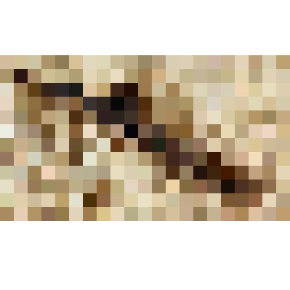 Насадка - рейсфедер-кривоножка Давыдова Л.Н. из коллекции материалов Давыдова Леонида Николаевича, старшего инженера Саратовского областного радиотелевизионного передающего центра, и его жены Давыдовой Натальи Андреевны, старшего инженера передвижной теле