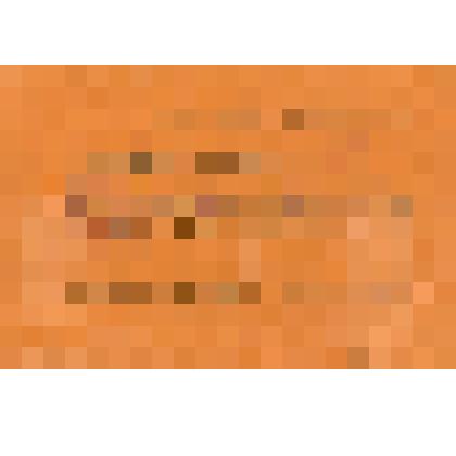 Удостоверение участника республиканского совещания по вопросам партийной пропаганды 15-18 августа 1940 г. Соколенко И. М