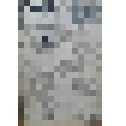 Газета "Адлерская правда"
№21 (2825) от 16.02.1958 г