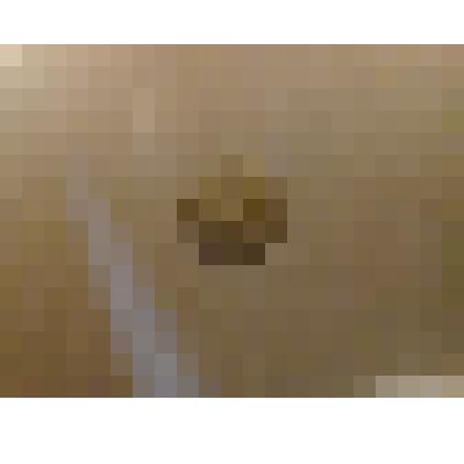 Монета 10 копеек 1980 г