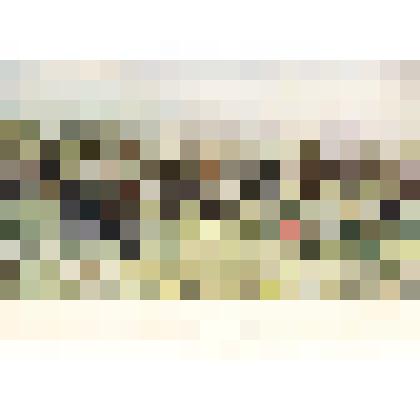 Репродукция с картин