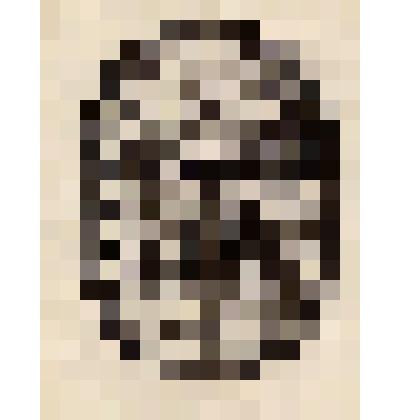 Экслибрис Цилосани, В