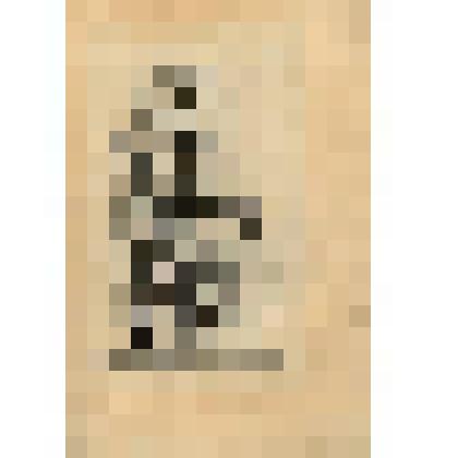 Le Midy. (Статуя "Полдень" (№ 88) - лист из альбома: «Recueil des statues, groupes, fontaines, termes, vases, et autres magnifiques ornaments du Chateau & Parc de Versailles.» T. I-IV. (Собрание фигур, групп, терм, фонтанов, ваз, статуй и других орнаменто