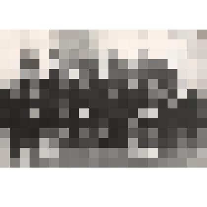 Фотография групповая. Ветераны ВМФ в два ряда