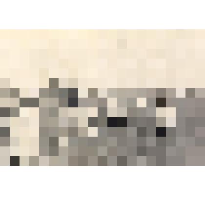 Фотография Карпова Семена Кузьмича с делегациями Калининской и Костромской областей. Эксперимент "Поле-завод"