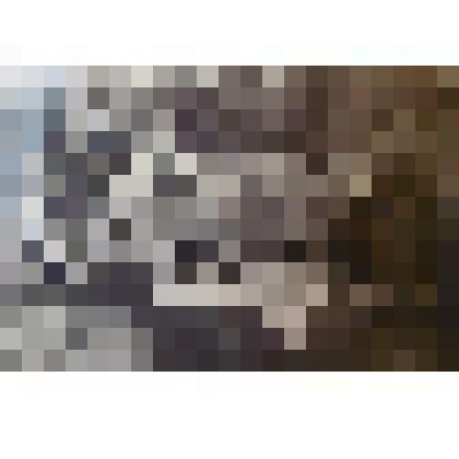 Фотография. Перед экзаменами