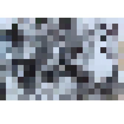 Фотография групповая. Сценка