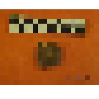 фрагмент керамики с вафельными отпечатками