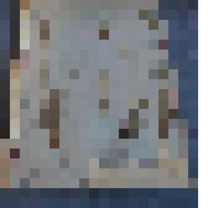 Ботаническая коллекция. Зубровка душистая, семейство злаковых, на гербарном листе, по  дороге в Жеблахты. Yramineae Hierochloe odorata