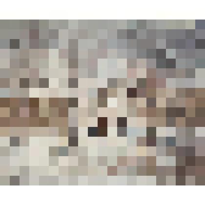 Городской мотив