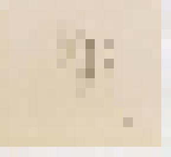 Автопортрет