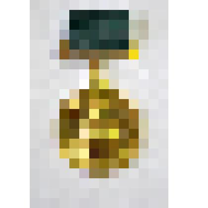 Медаль участника Всесоюзной сельскохозяйственной выставки  Ипатьева Е.В., брата Ипатьевой Г.В