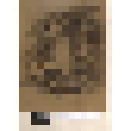 Натюрморт с кедровыми ветками