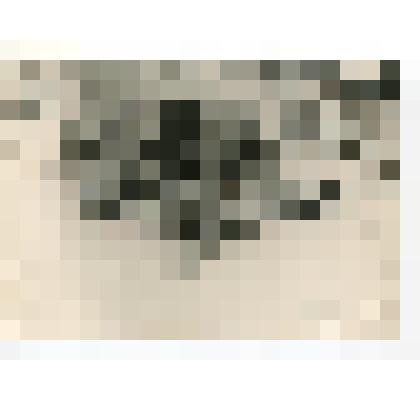 Фото видовое. Памятник погибшим героям в центре п. Шаховская