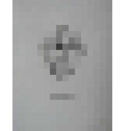 Портрет. Голенищев-Кутузов Павел Васильевич