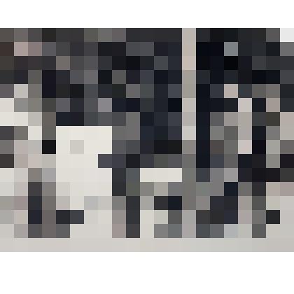 Фотография Хутуев Ханафи Исхакович