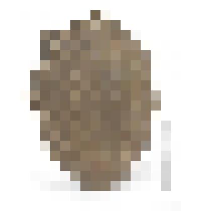 Бубен шамана