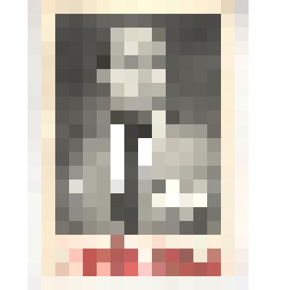 Фотография. Портрет Турбабы Михаила Александровича