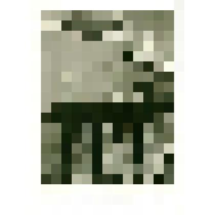 Фотография. Депутаты Верховного Совета СССР от Белгородской области (1-я сессия 10 созыва). Москва, Кремль, апрель 1979 г