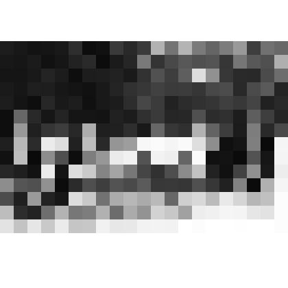 Фото групповое