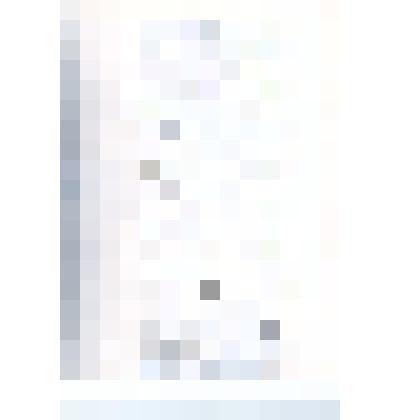 Фотокопия постановления №24003 Министерство Внутренних Дел Департамент общих дел Отделение V Стол 1 об образовании в Томской губернии 4 новых уездов: Каменского, Славгородского, Новониколаевского и Тогурского, и о разделении ее на две губернии: Томскую и