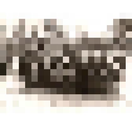 Фотография. Выпускной класс 1975 г. 10 в