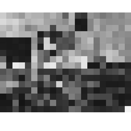 Фотография ч/б