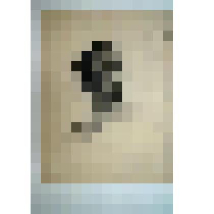 "Мужская голова". Рисунок