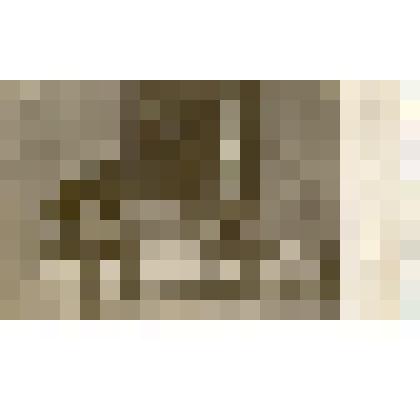 Фотография. Антон Павлович Чехов и Лев Николаевич Толстой в Ясной поляне