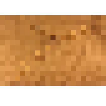 Вешалка складная (плечики) для одежды, из коллекции материалов документальных и предметов быта от сотрудников Саратовского областного музея краеведения