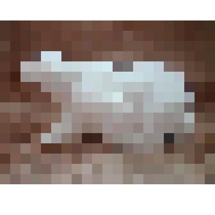 Статуэтка. Полупара скульптурной группы "Два белых медведя"