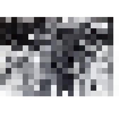 Фотография
"Жалсараев на 5 съезде писателей СССР, Москва, 1971 год"