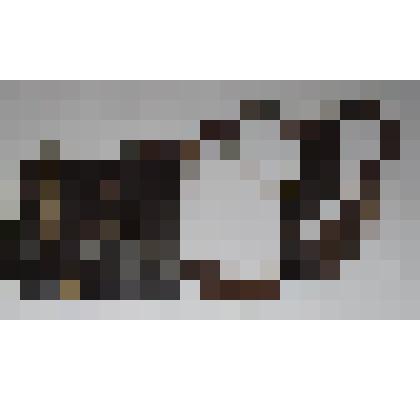 Пороховница (дробница)