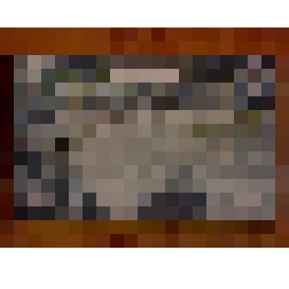 Сертификат именной «Подари свой лес потомкам», удостоверяющий, что на средства жителей г. Тайги создан лесной участок Кузбасского ботанического сада площадью 300 кв.км