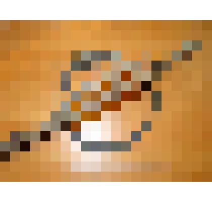 Капкан большой