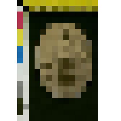 Фотография: Портрет Ивана Львовича Толстого (1888-1895)