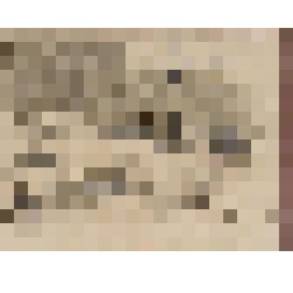 У ограды сада