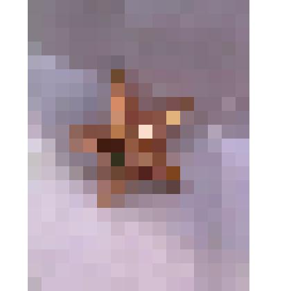 Звездочка на погоны