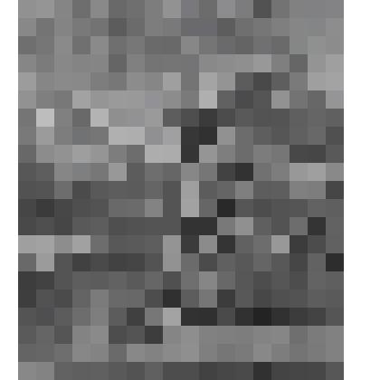 Святой Михаил