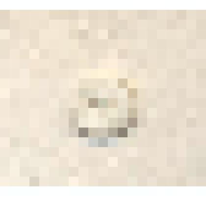 Пуговица рубашечная с двумя сквозными отверстиями