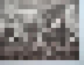 Графическая работа. Отряд Красных Орлов