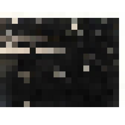 Фотография. Поляновский М.Л., неизвестная, Кассиль Л.А