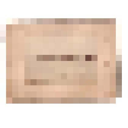 Фотография. Кушвинский завод Верхотурского уезда