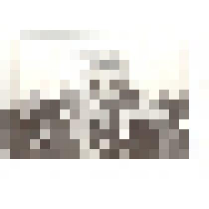 Фотография: женщины - участницы Великой Отечественной войны г.Камня-на-Оби Алтайского края