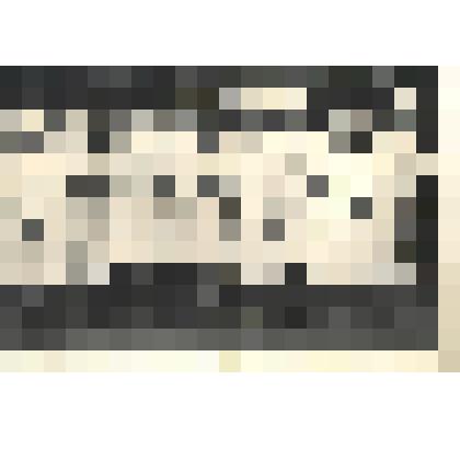 Фотографии. Фото ч/б. гинекологическое отделение Хакасской областной больницы. В центре врач Самсонова Ф.Т. июль 1969 г. (12 женщин-медиков стоят в ряд на улице)