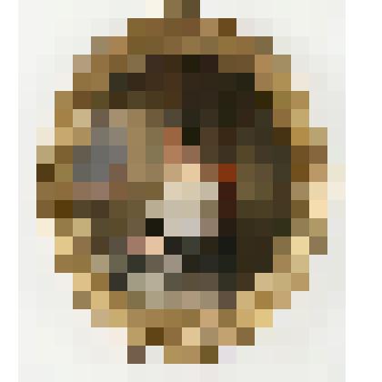 Картина. "Портрет неизвестной с букетом роз"